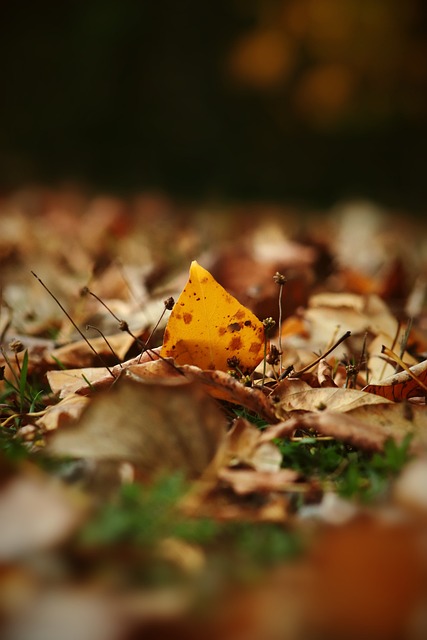 用方